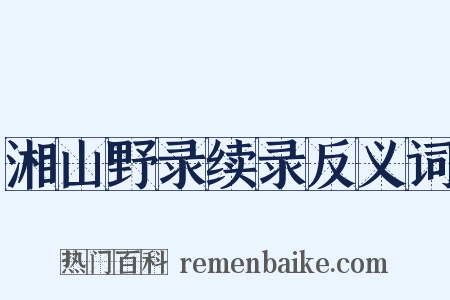 湘山野录续录反义词是什么意思的图片